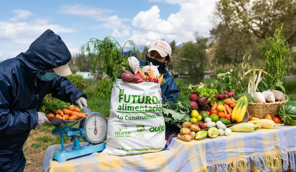 El Futuro de la Alimentación es el programa emblemático de Heifer Ecuador