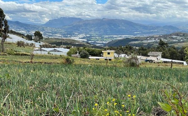 En la producción agrícola en Ecuador se medirá la emisión de Gases de Efecto Invernadero