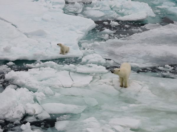 Aumento de temperaturas y deshielo
