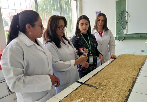 Docentes investigadores de Espoch, chocho