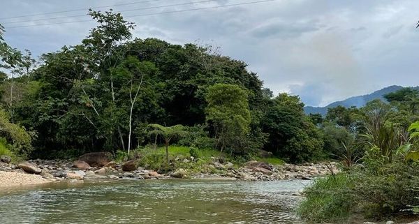 Bosques en la provincia de Napo