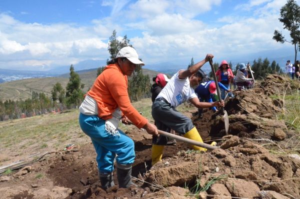 Minga para desarrollar un canal de riego