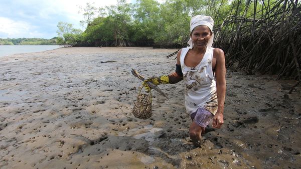 MANGLAR ley de mujer Película documental