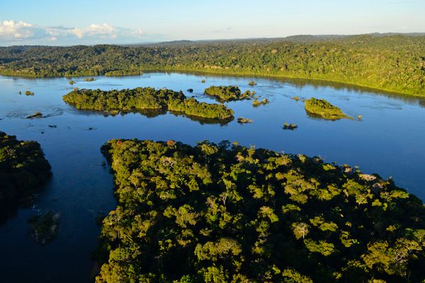 Rio Juruena, WWF Brasil