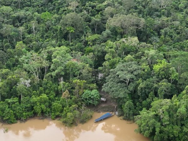 El Parque Nacional Yasuní es el área protegida más grande de Ecuador. Foto_ Cortesía Gonzalo Rivas- Torresjpeg