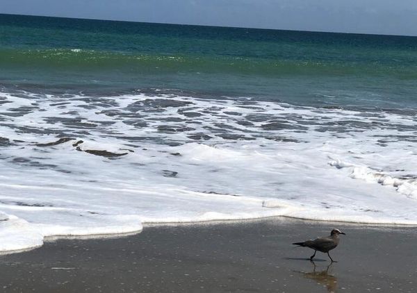 Playa de Santa Marianita, provincia de Manabí