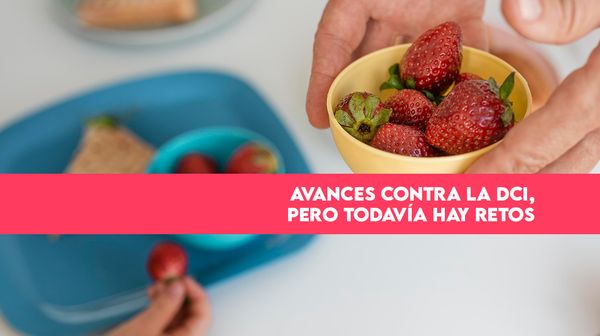 La lucha contra la desnutrición infantil progresó en el 2023, pero hay tareas pendientes