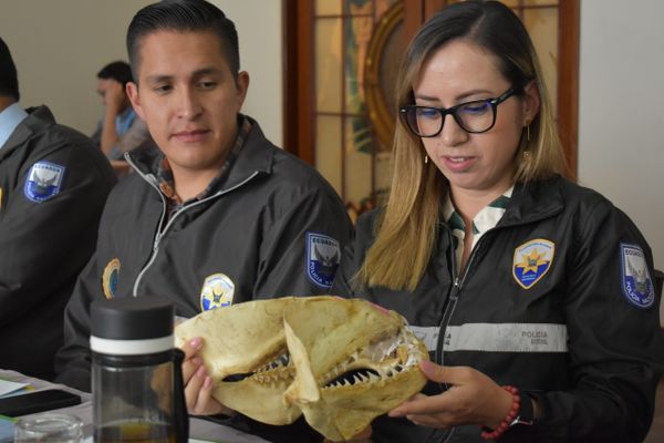 III Reunión de la Comisión Técnica para la creación del instrumento de normalización forense