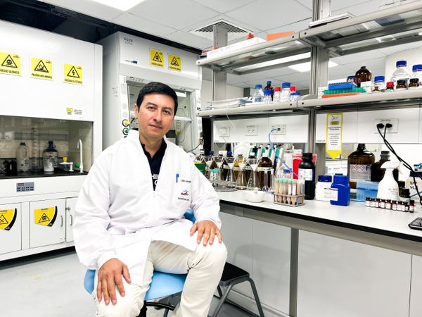 Luis Ramos Docente-Investigador UDLA