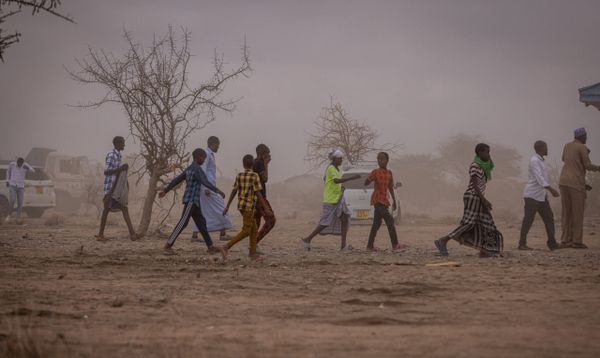 Cuenta flickr PNUMA ambiente