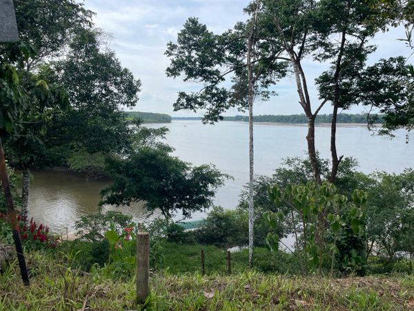 Parque Nacional Yasuní