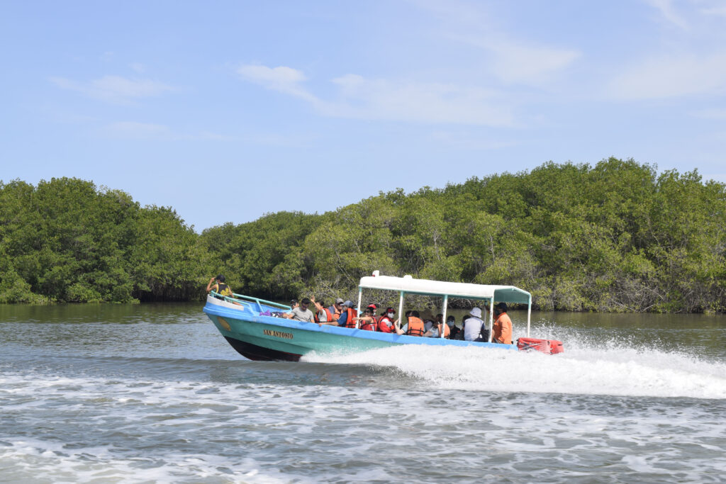 La ruta del manglar en la provincia de El Oro