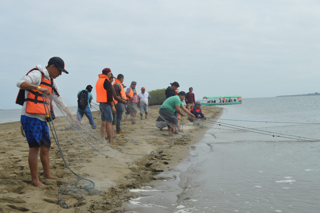 La ruta del manglar en la provincia de El Oro