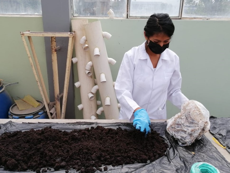 Proyecto hongos y nutrición Espoch