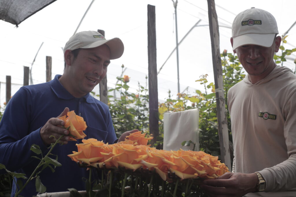 Empresa B Hoja Verde