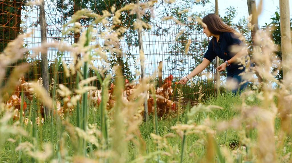 Empresa B Organic Life