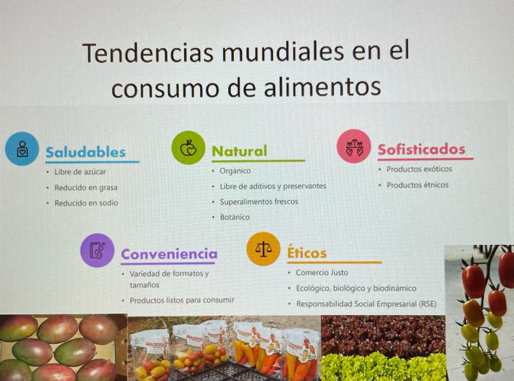 La producción de mango afronta desafíos con el cambio climático