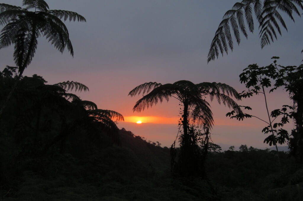 reserva Buenaventura, Leovigildo Cabrera