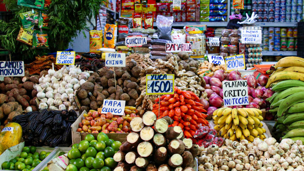 Informe Panorama regional de la Seguridad Alimentaria y Nutricional de América Latina 2022.