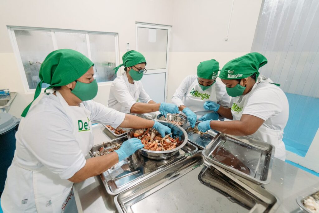 El Futuro de la Alimentación es el programa emblemático de Heifer Ecuador. Foto: Heifer Ecuador