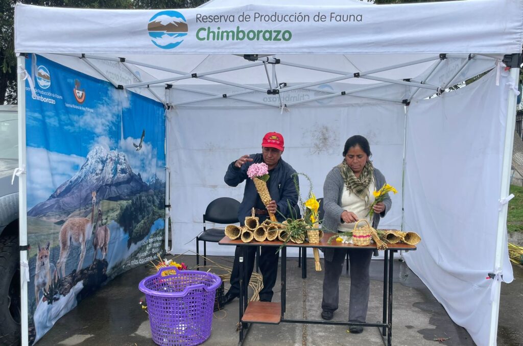 Operativos de control de palma de cera