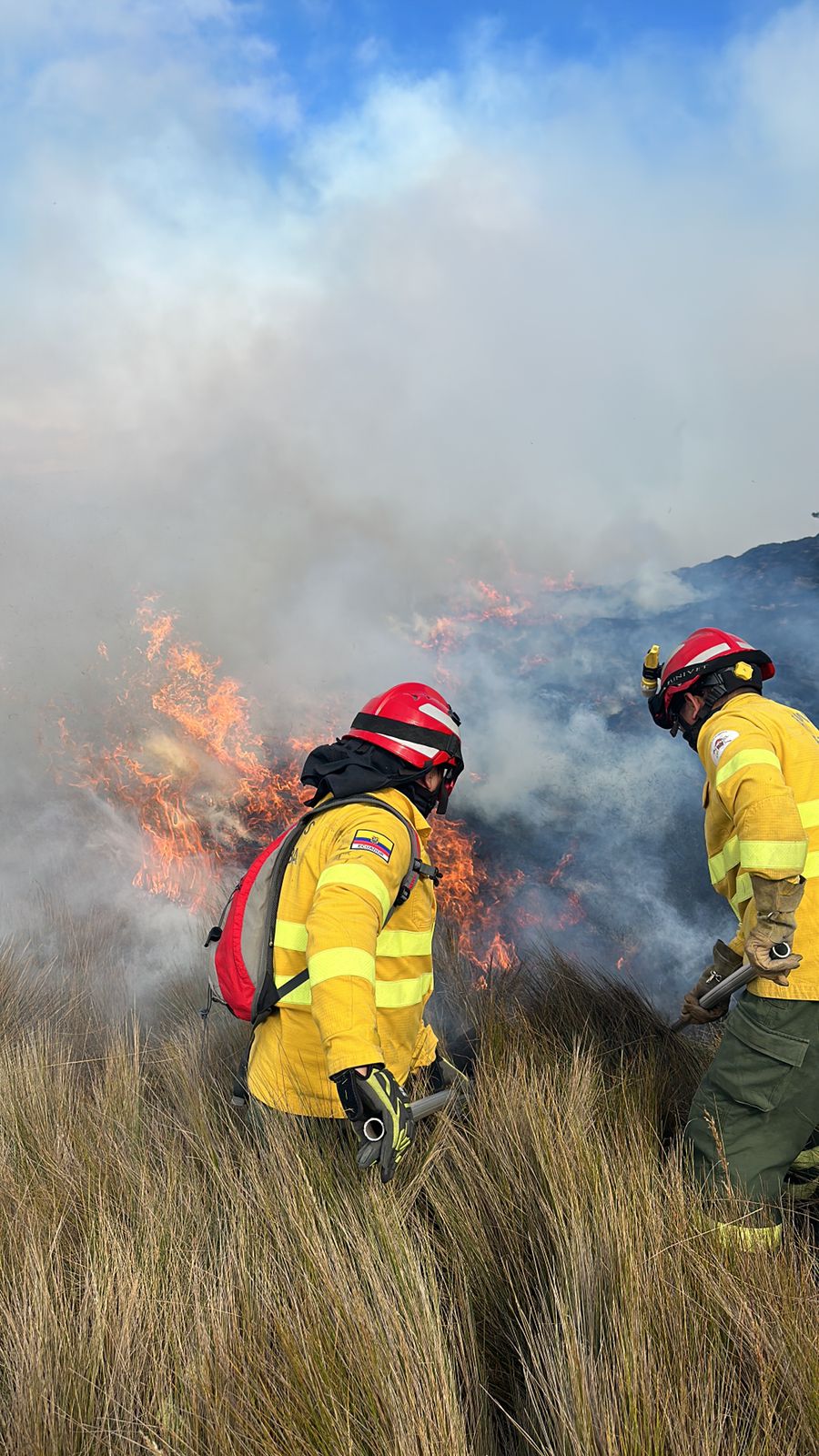 INCENDIOS FORESTALES 1