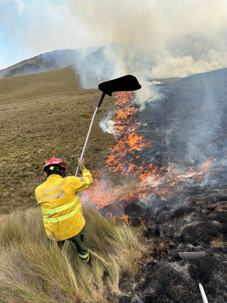 INCENDIOS FORESTALES 6