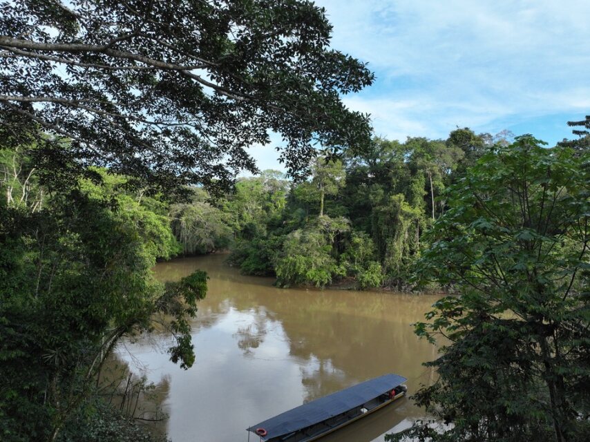 En el Parque Nacional Yasuní es uno de los sitios más biodiversos del planeta. Foto_ Cortesía Gonzalo Rivas-Torresjpeg