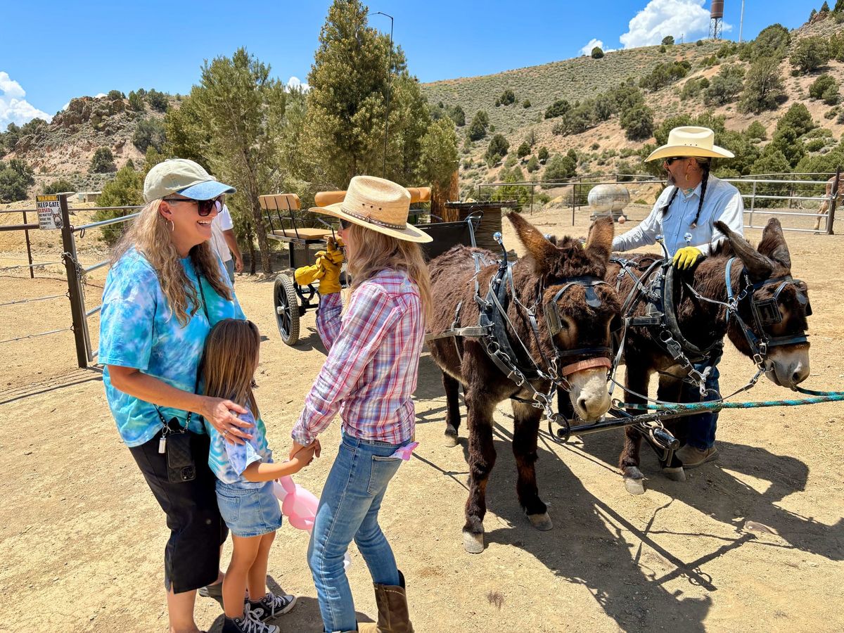The Wild Charm of Desert Rose Ranch