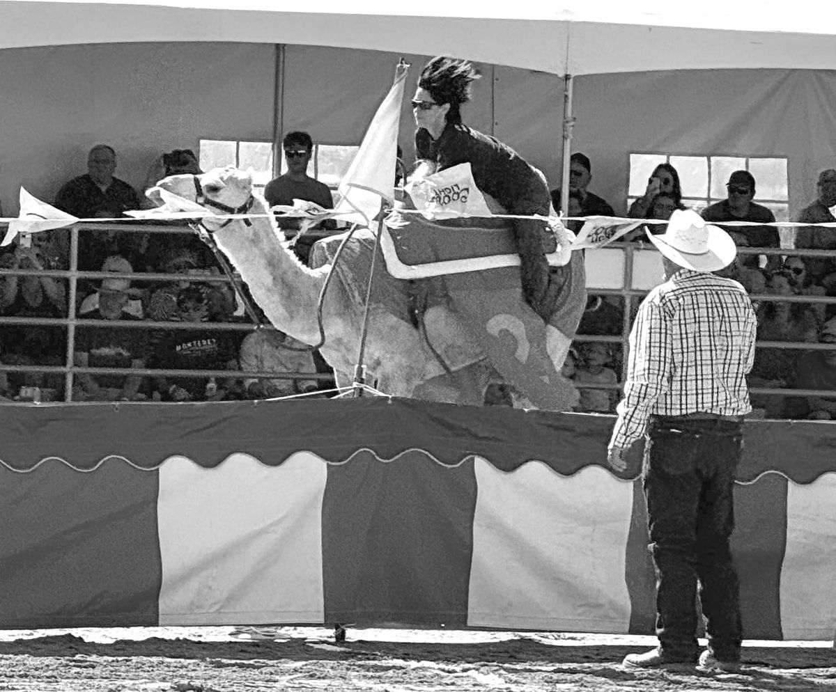 Notes from the Cabin in the Sky, 9-12-2025