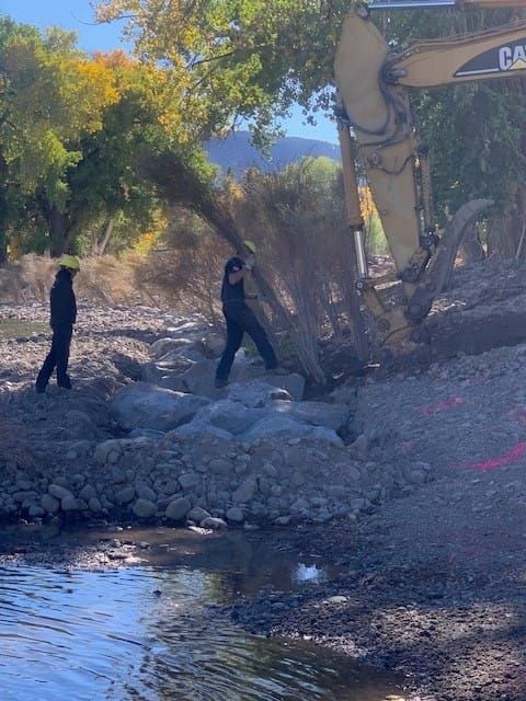 Carson Riverbank Restoration Project