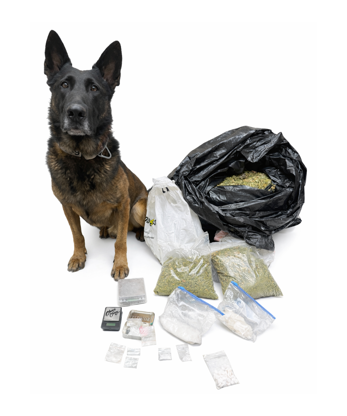Press Release: LCSO K9 Unit Drug Bust