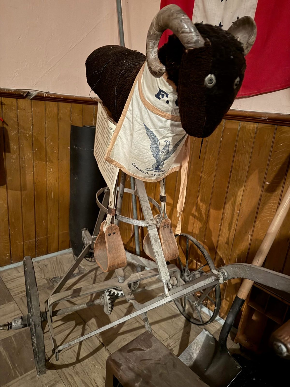 So... Did You Ride the Goat?