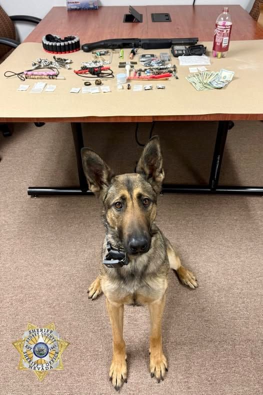 K9 Hera Drug Bust in VC