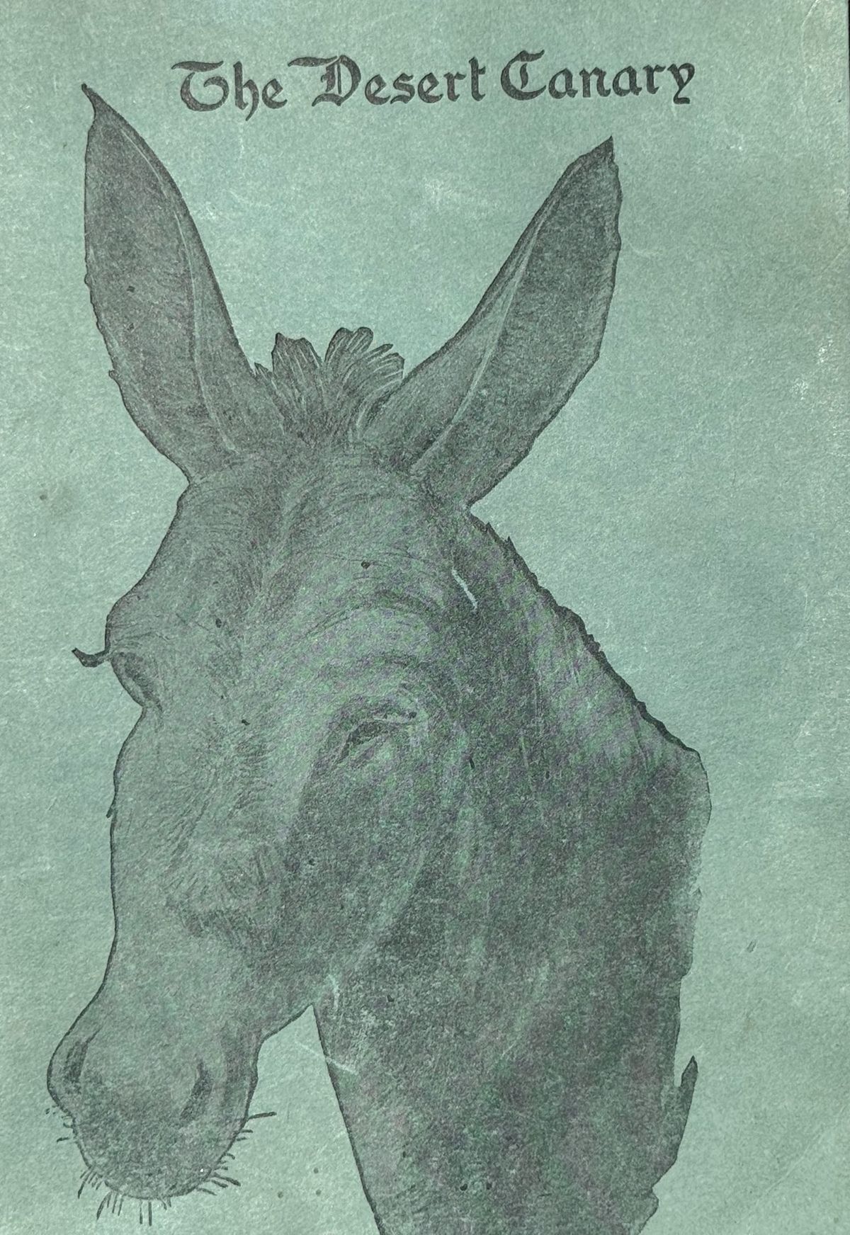 The Desert Canary of 1919 Reveals Oldest House in Nevada