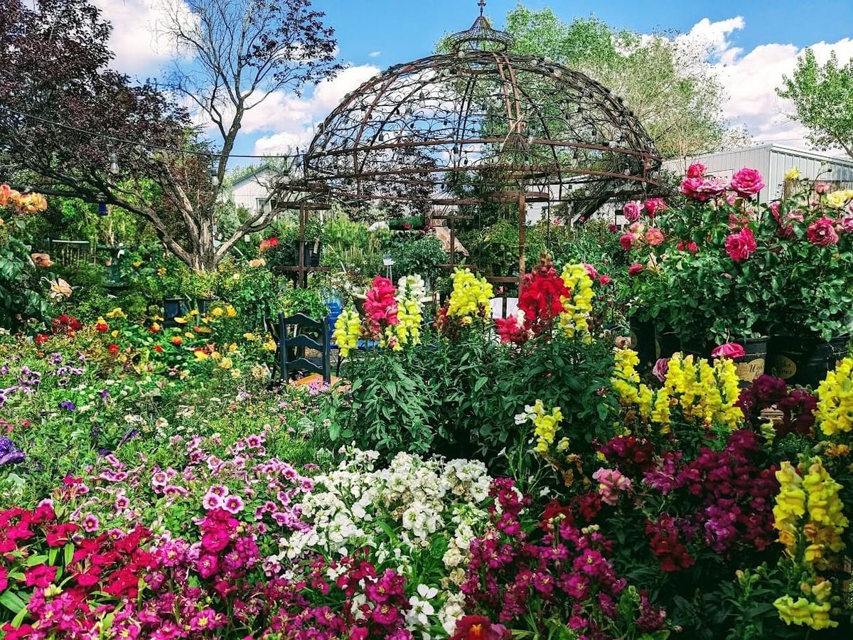 Painting Among the Flowers in Dayton, Nevada