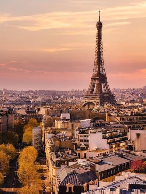 PINE NUTS: Barefoot & Broke in Paris