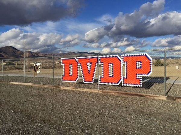 Dayton Valley Dog Park Closure Announcement