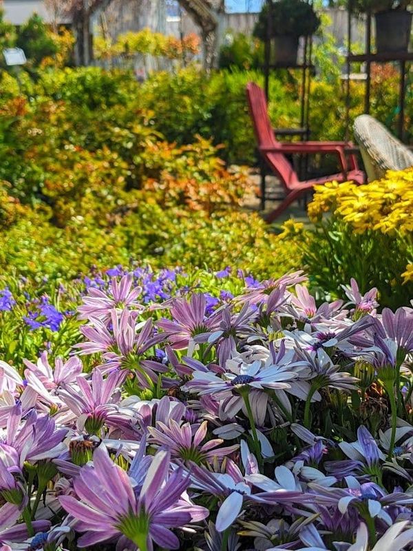 Community Roots Has Mother’s Day Gifts and Tips for Spring Gardening
