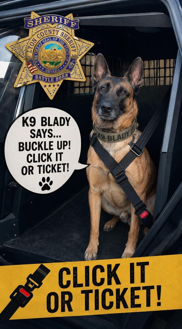 Joining Forces: Click It or Ticket Campaign