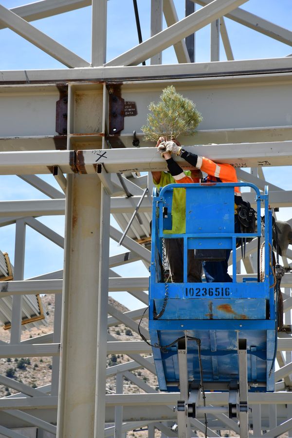 Beam and Tree Topping Ceremony Marks Milestone for New SCSD School