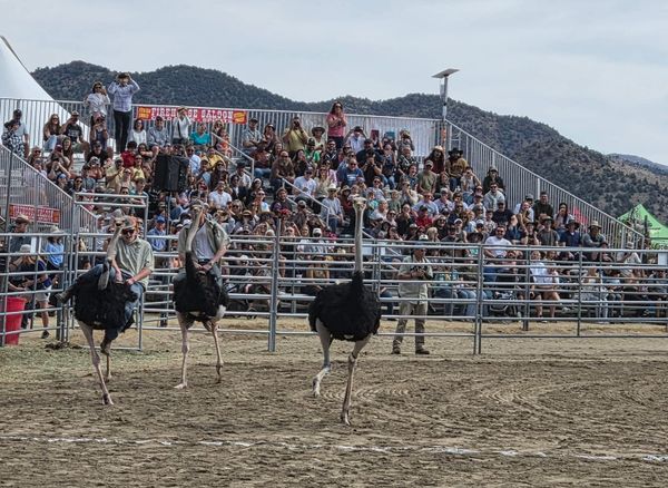 67 Years of a Crazy Comstock Tradition