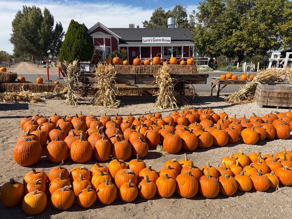 Events & Entertainment: Updated Sept. 29