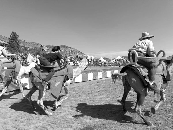 67th Annual International Camel & Ostrich Races Return Sept. 11-13