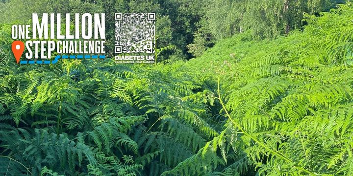 War on Diabetes Newsletter 13th July 2025