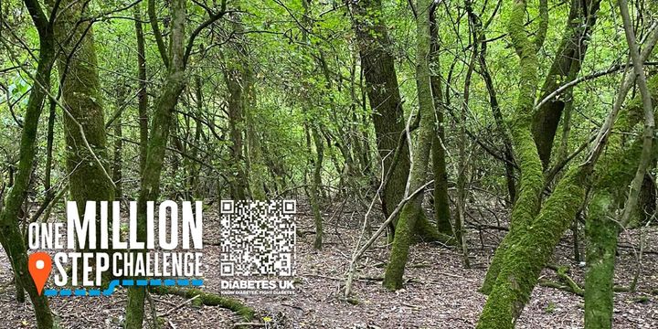 War on diabetes newsletter 23rd August 2025