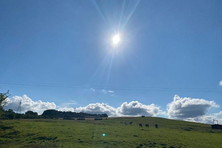 Increasing cortisol in the morning can help you sleep better and give you more energy throughout the day