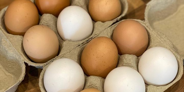 When to eat protein to build muscle