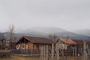 Saguramo / Analog / 2021