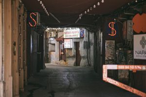 Tbilisi / 2025